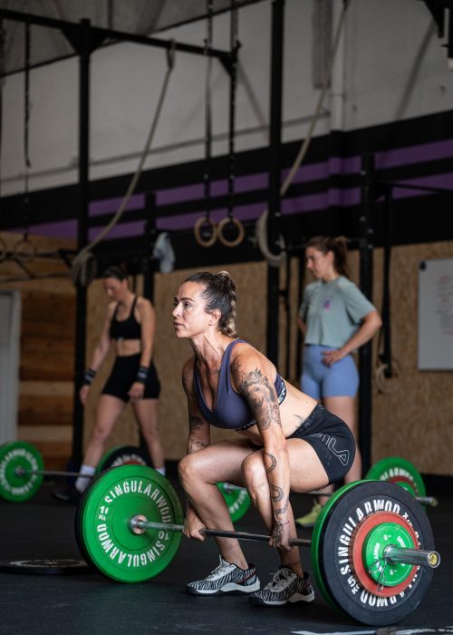 pesas box crossfit palleja